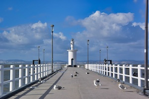 Alcochete lighthouse and seagulls
